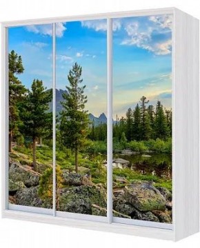 Шкаф-купе ХИТ 22-18-777 ПРИРОДА в Каменске-Уральском - kamensk-uralskiy.mebel24.online | фото