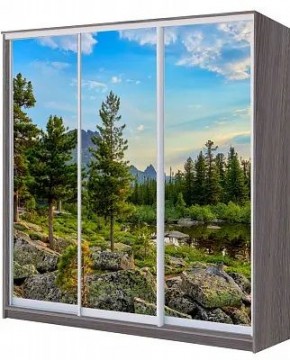 Шкаф-купе ХИТ 22-4-20/2-777 ПРИРОДА в Каменске-Уральском - kamensk-uralskiy.mebel24.online | фото