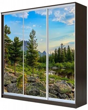 Шкаф-купе ХИТ 23-4-20-777 ПРИРОДА в Каменске-Уральском - kamensk-uralskiy.mebel24.online | фото
