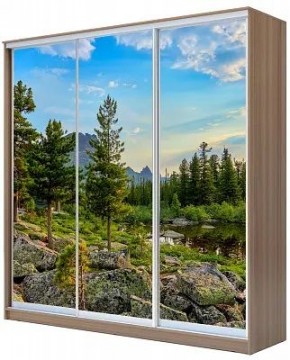 Шкаф-купе ХИТ 24-18-777 ПРИРОДА в Каменске-Уральском - kamensk-uralskiy.mebel24.online | фото