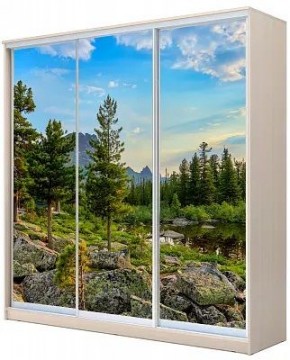 Шкаф-купе ХИТ 24-4-20-777 ПРИРОДА в Каменске-Уральском - kamensk-uralskiy.mebel24.online | фото