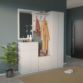 Шкаф платяной ШО-4 в Каменске-Уральском - kamensk-uralskiy.mebel24.online | фото 6