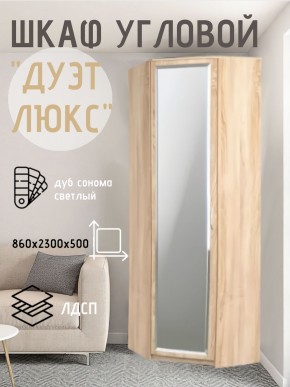 Шкаф угловой Дуэт Люкс с зеркалом в Каменске-Уральском - kamensk-uralskiy.mebel24.online | фото