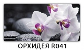 Стол раздвижной Трилогия с фотопечатью Доска D111 в Каменске-Уральском - kamensk-uralskiy.mebel24.online | фото 12