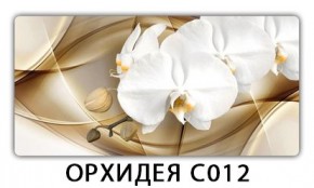 Стол раздвижной Трилогия с фотопечатью Доска D111 в Каменске-Уральском - kamensk-uralskiy.mebel24.online | фото 13