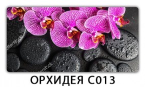 Стол раздвижной Трилогия с фотопечатью Доска D111 в Каменске-Уральском - kamensk-uralskiy.mebel24.online | фото 14