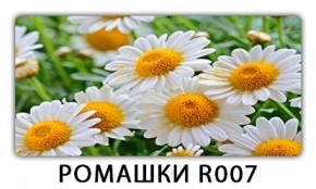 Стол раздвижной Трилогия с фотопечатью Доска D111 в Каменске-Уральском - kamensk-uralskiy.mebel24.online | фото 15