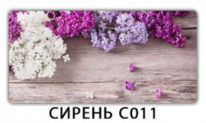 Стол раздвижной Трилогия с фотопечатью Доска D111 в Каменске-Уральском - kamensk-uralskiy.mebel24.online | фото 16
