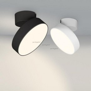 Светильник на штанге Arlight SP-RONDO-FLAP-R210-20W Day4000 (BK, 110 deg) 026453 в Каменске-Уральском - kamensk-uralskiy.mebel24.online | фото 3