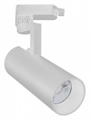 Светильник на штанге Escada 20029 20029TRA/02LED SWH в Каменске-Уральском - kamensk-uralskiy.mebel24.online | фото