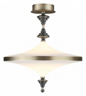 Светильник на штанге Odeon Light Ula 5404/43CL в Каменске-Уральском - kamensk-uralskiy.mebel24.online | фото 2