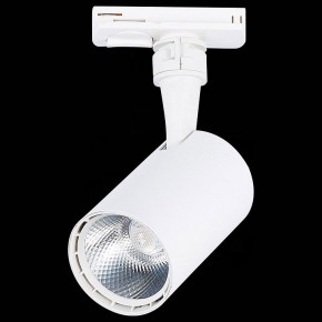 Светильник на штанге ST-Luce Cami ST351.536.10.36 в Каменске-Уральском - kamensk-uralskiy.mebel24.online | фото 9