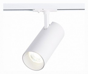 Светильник на штанге ST-Luce Mono ST350.536.30.36 в Каменске-Уральском - kamensk-uralskiy.mebel24.online | фото 2