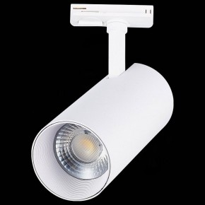 Светильник на штанге ST-Luce Mono ST350.536.30.36 в Каменске-Уральском - kamensk-uralskiy.mebel24.online | фото 6