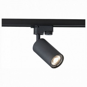 Светильник на штанге ST-Luce Solt ST300.406.01 в Каменске-Уральском - kamensk-uralskiy.mebel24.online | фото 1