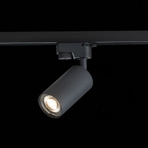 Светильник на штанге ST-Luce Solt ST300.406.01 в Каменске-Уральском - kamensk-uralskiy.mebel24.online | фото 6