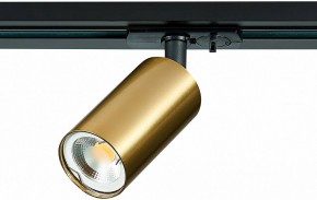 Светильник на штанге ST-Luce ST300 ST300.206.01 в Каменске-Уральском - kamensk-uralskiy.mebel24.online | фото