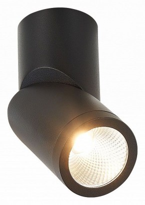 Светильник на штанге ST-Luce ST650 ST650.442.10 в Каменске-Уральском - kamensk-uralskiy.mebel24.online | фото 2