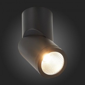 Светильник на штанге ST-Luce ST650 ST650.442.10 в Каменске-Уральском - kamensk-uralskiy.mebel24.online | фото 6