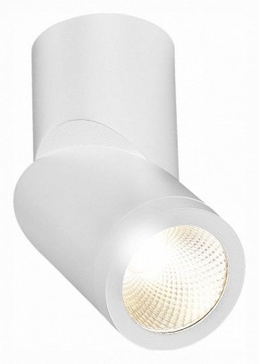 Светильник на штанге ST-Luce ST650 ST650.532.10 в Каменске-Уральском - kamensk-uralskiy.mebel24.online | фото 3