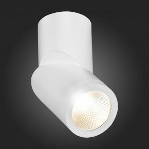 Светильник на штанге ST-Luce ST650 ST650.532.10 в Каменске-Уральском - kamensk-uralskiy.mebel24.online | фото 6