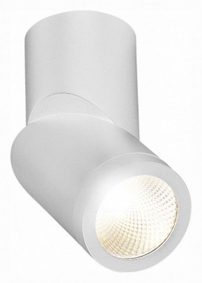 Светильник на штанге ST-Luce ST650 ST650.542.10 в Каменске-Уральском - kamensk-uralskiy.mebel24.online | фото 3