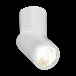 Светильник на штанге ST-Luce ST650 ST650.542.10 в Каменске-Уральском - kamensk-uralskiy.mebel24.online | фото 5