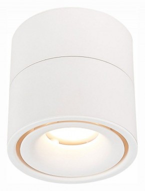 Светильник на штанге ST-Luce ST652 ST652.532.12 в Каменске-Уральском - kamensk-uralskiy.mebel24.online | фото 2