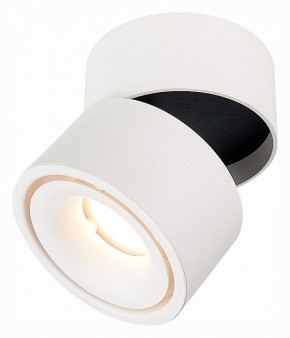 Светильник на штанге ST-Luce ST652 ST652.532.12 в Каменске-Уральском - kamensk-uralskiy.mebel24.online | фото 3