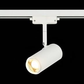 Светильник на штанге ST-Luce Zoom ST600.536.12 в Каменске-Уральском - kamensk-uralskiy.mebel24.online | фото 4