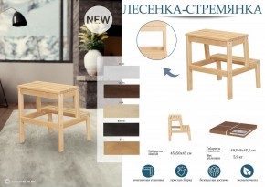 Табурет Стремянка в Каменске-Уральском - kamensk-uralskiy.mebel24.online | фото 6