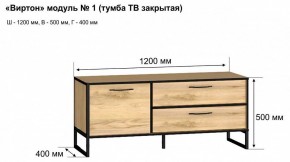 Тумба под ТВ Виртон-1 в Каменске-Уральском - kamensk-uralskiy.mebel24.online | фото 10