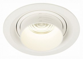 Встраиваемый светильник ST-Luce Zoom ST701.548.12 в Каменске-Уральском - kamensk-uralskiy.mebel24.online | фото 2